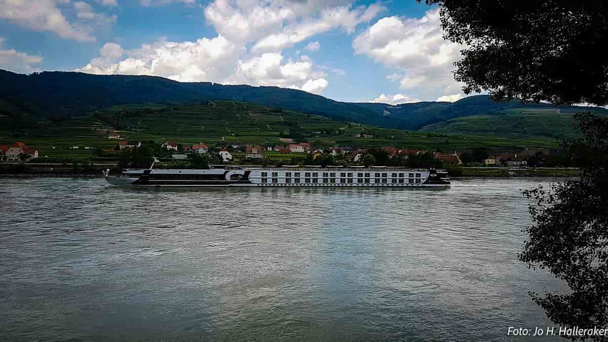 Cruisebåt på Donau