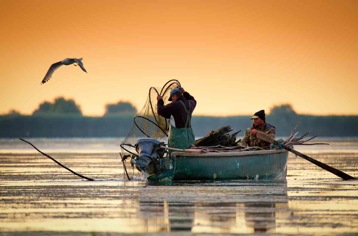 Ferskvanssfiske i Donaudeltaet (2017)