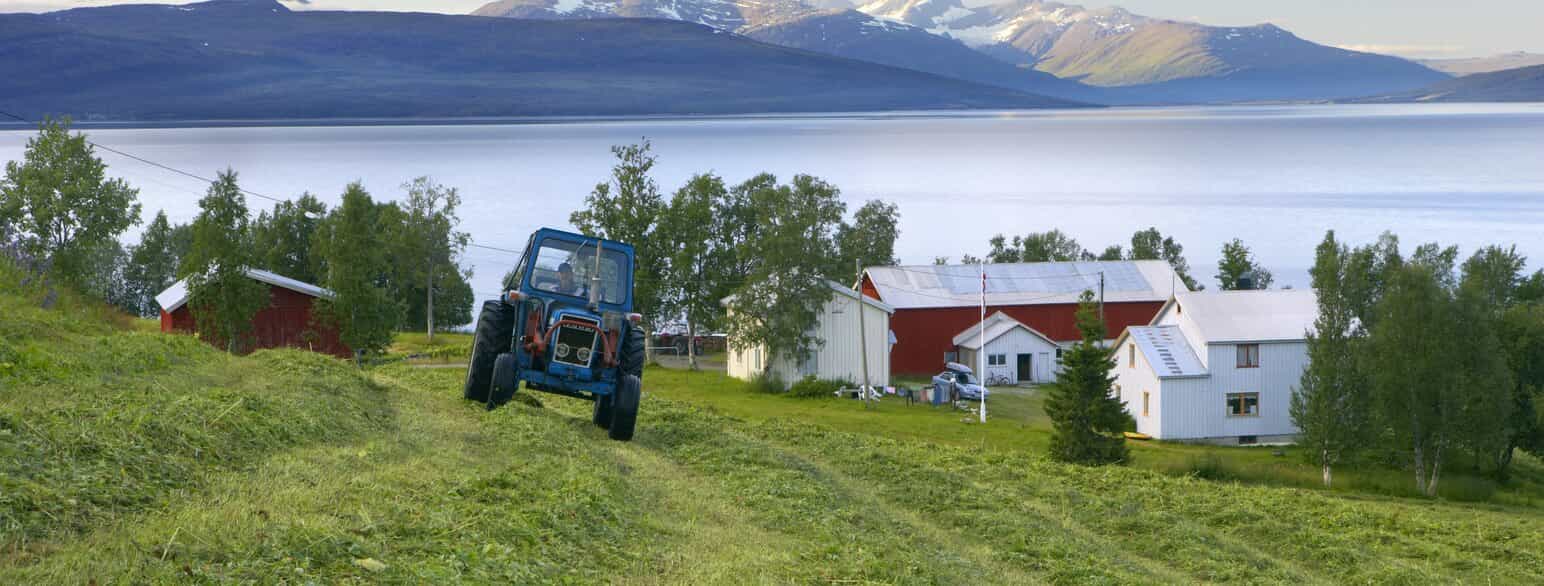 Traktor slår gress i skråning, gårdshus i bakgrunn