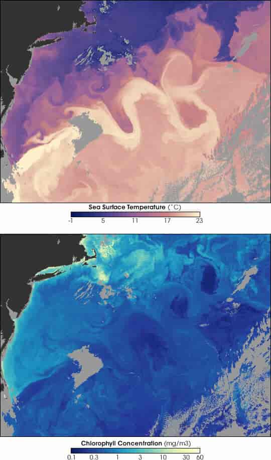 Satellittbilder av Golfstrømmen 