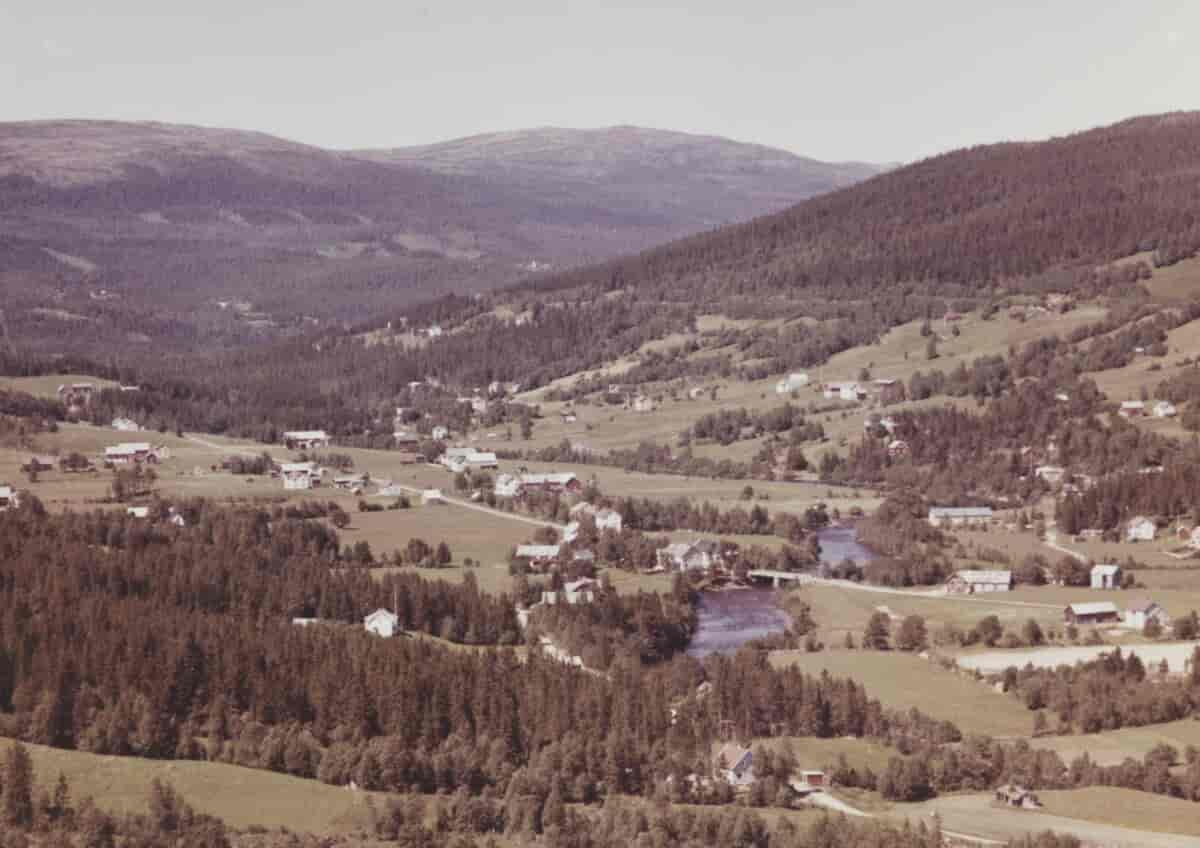 Ålen, 1963