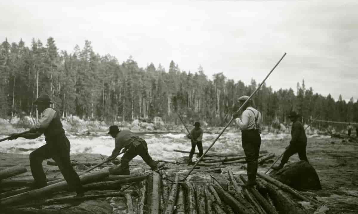 Fløting i Trysilelva, Lutufallet 1921
