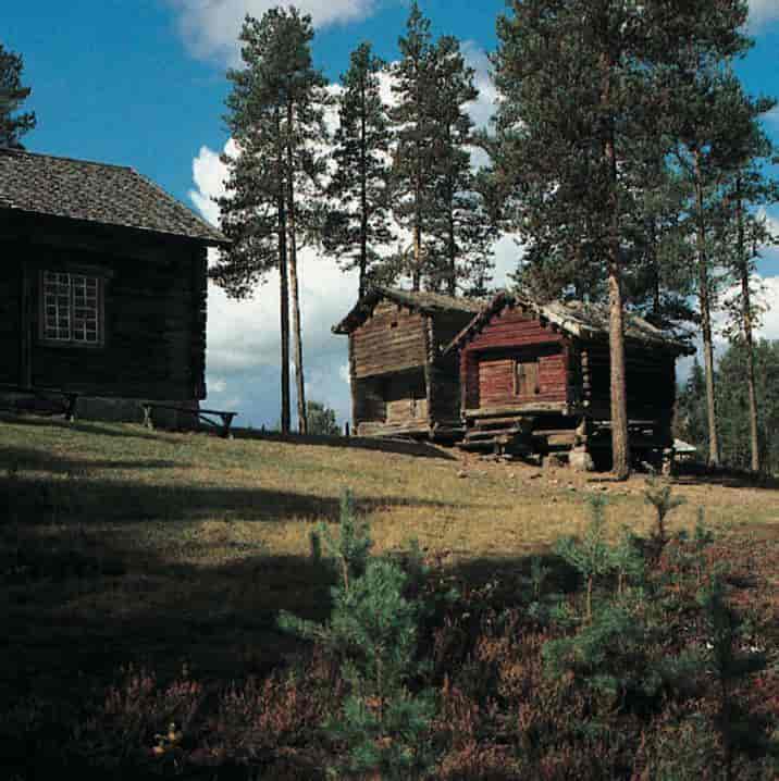 Finnskogene