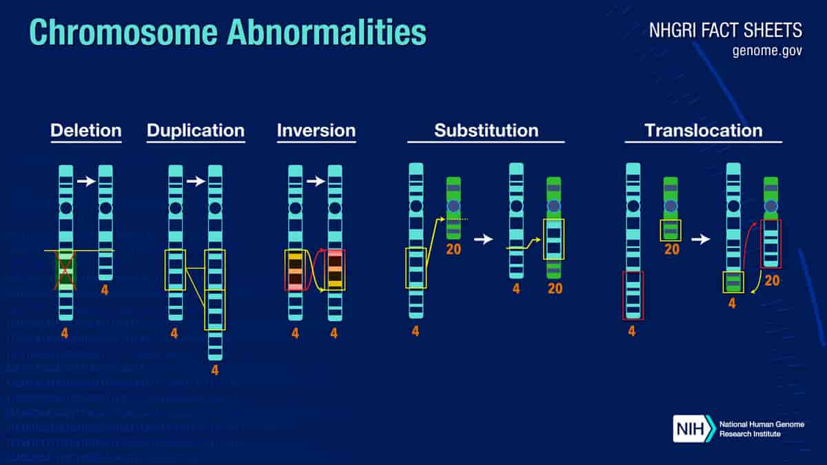 Strukturelle kromosomavvik