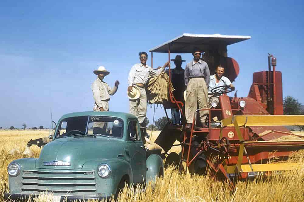 Borlaug 1944