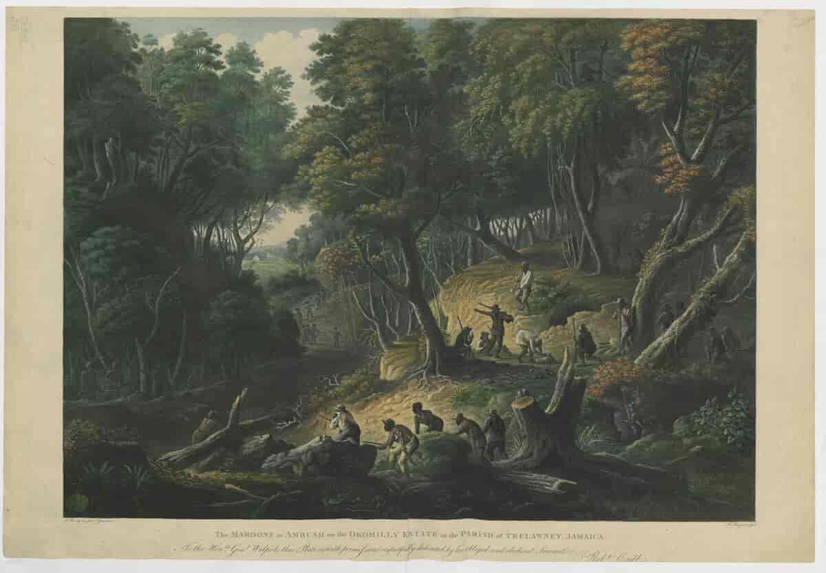 Maronangrep (1801)