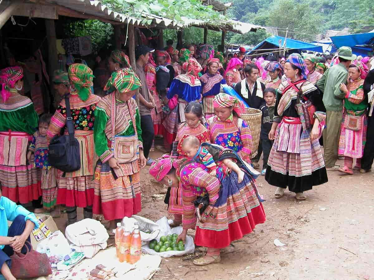 Vietnamesiske hmong