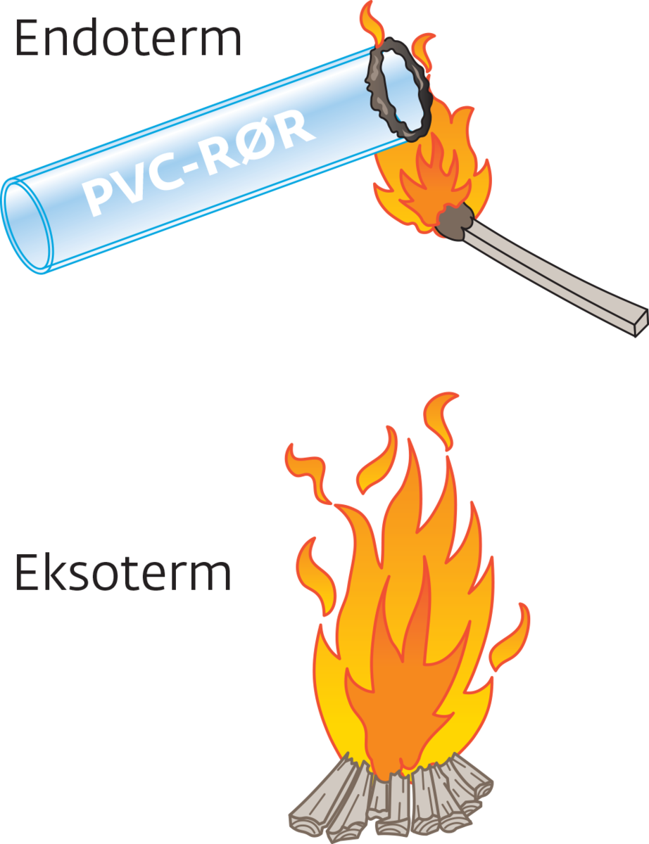 Endoterm og eksoterm brann