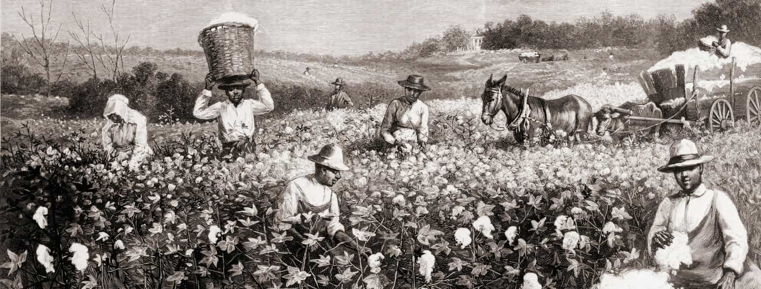 Bomullshøsting sør i USA, 1887