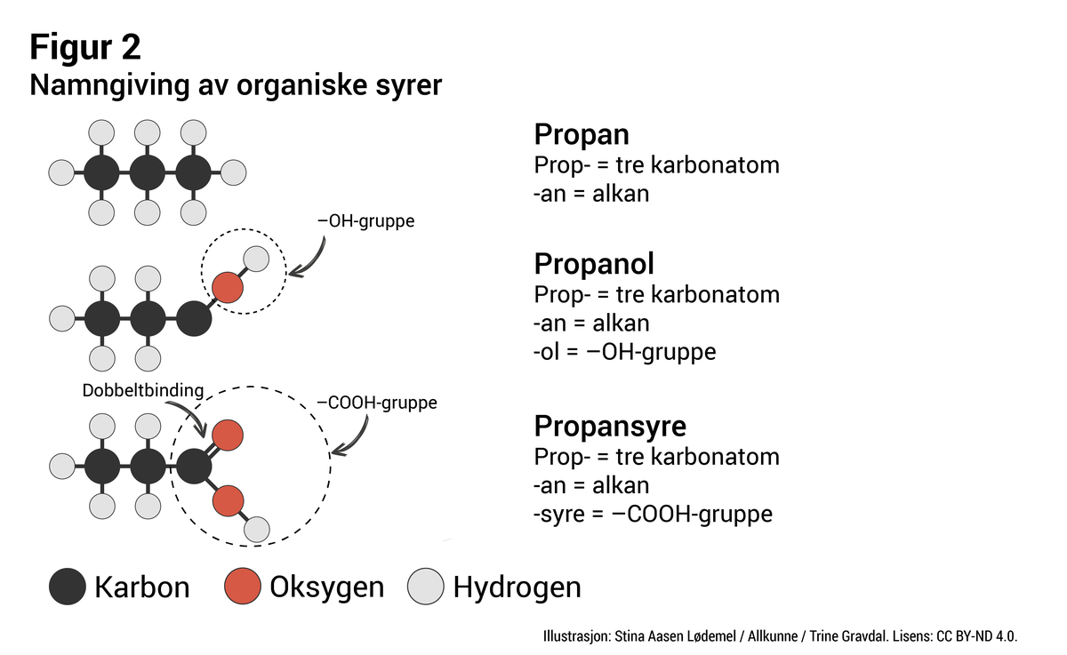 Namngiving av organiske syrer.