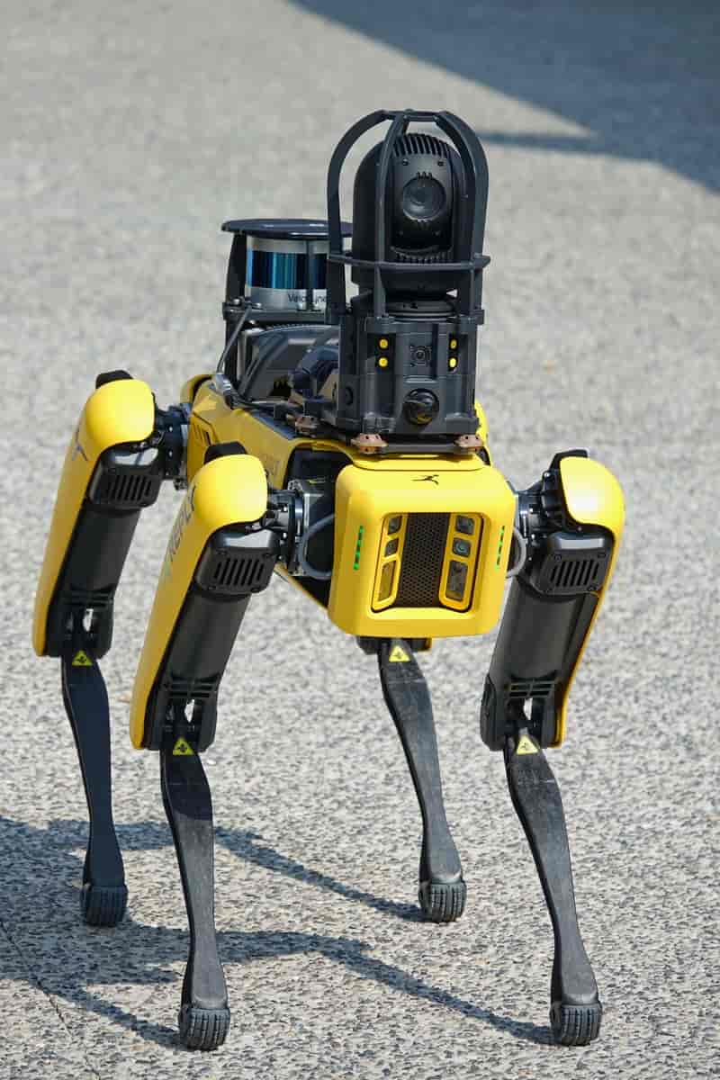 Robothunden «Spot», 2021