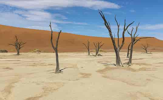 Namib-ørkenen