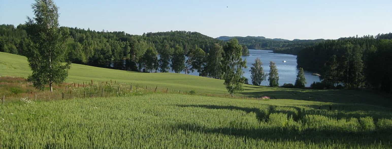Øymarksjøen, Marker kommune.