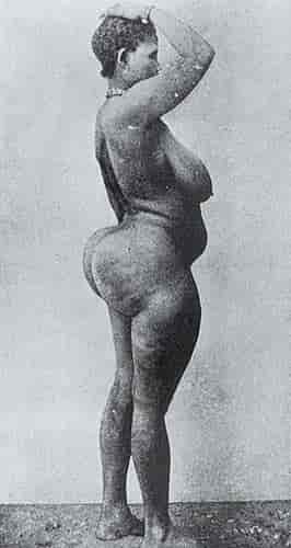 Khoisan-kvinne med steatopygi, foto fra 1800-tallet