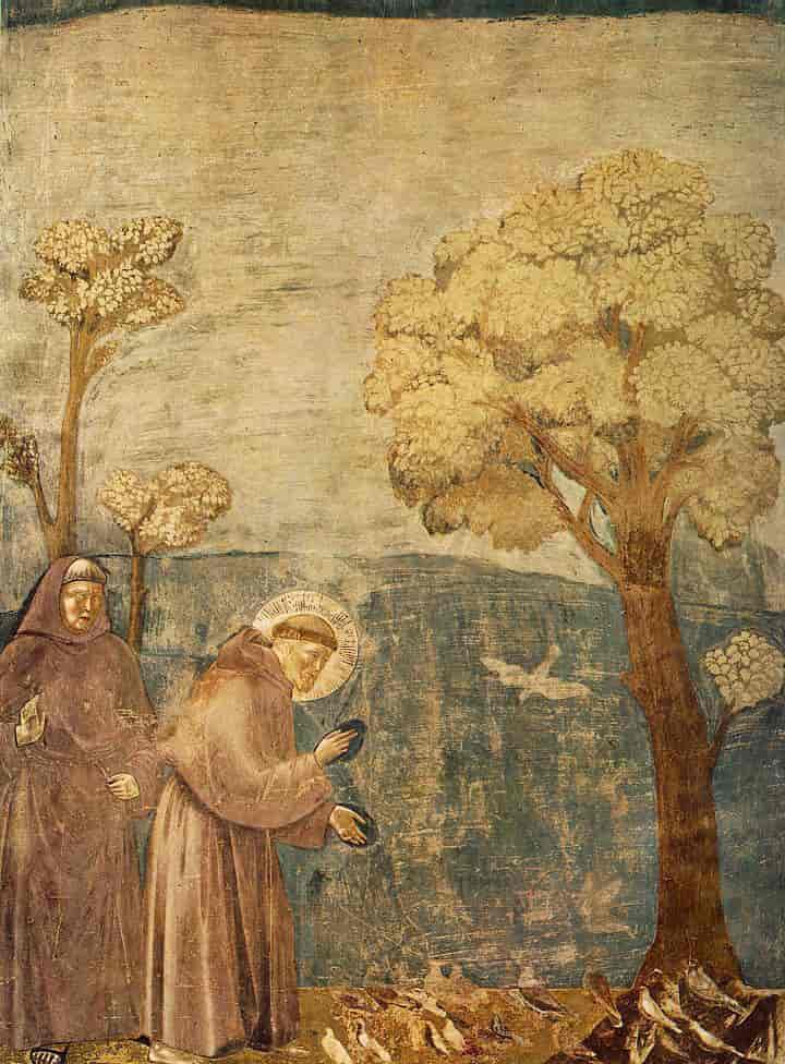 Frans fra Assisi taler for fuglene