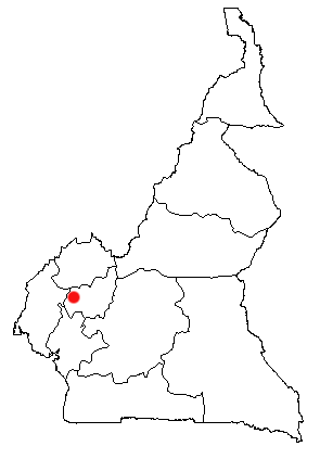 Dschang, Cameroon Location Map
