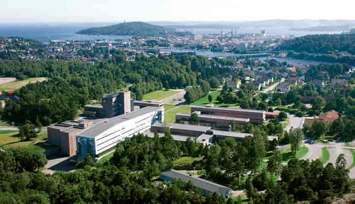 Universitetet i Agder, Gimlemoen