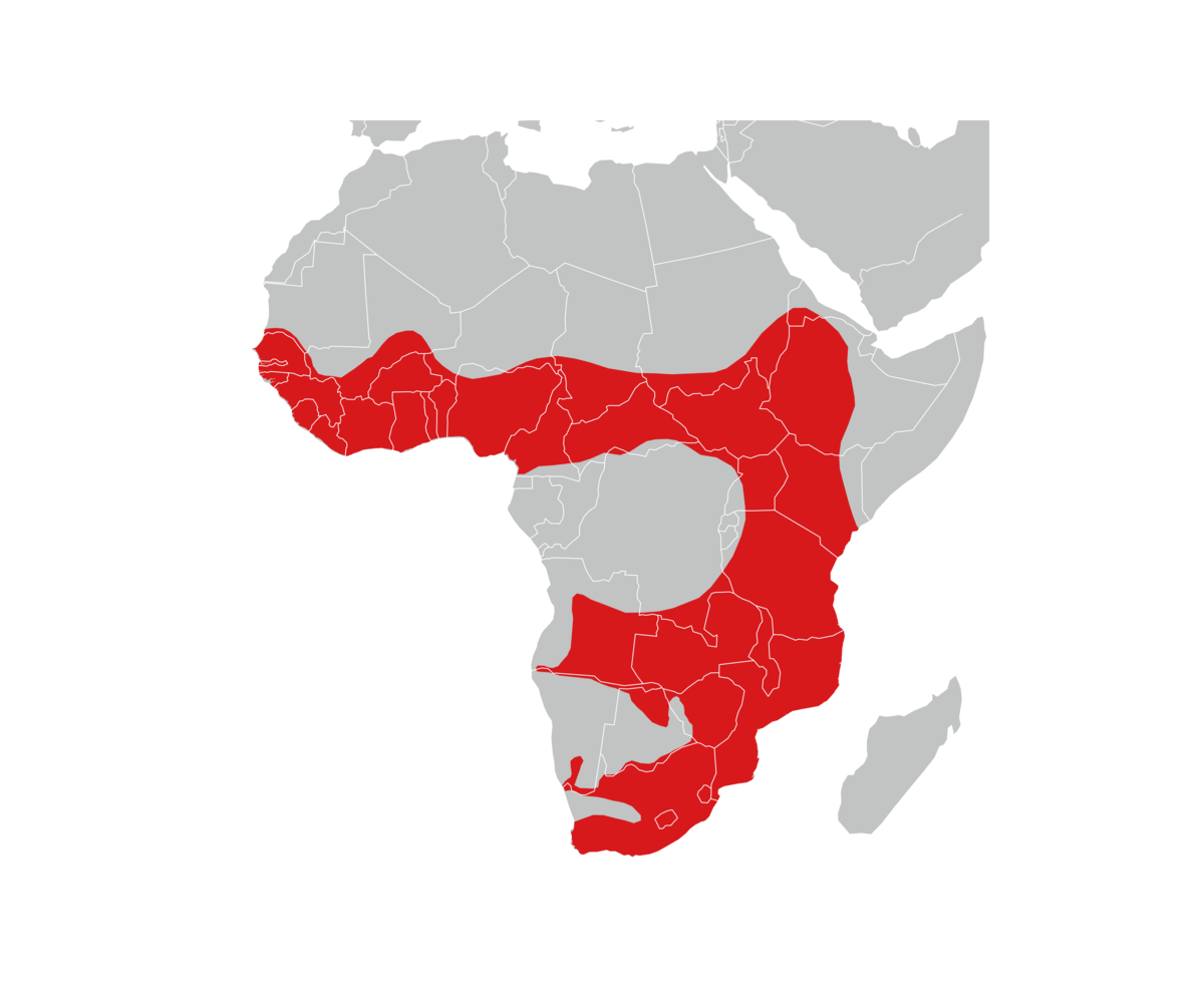 utbredelse av afrikansk fingeroter