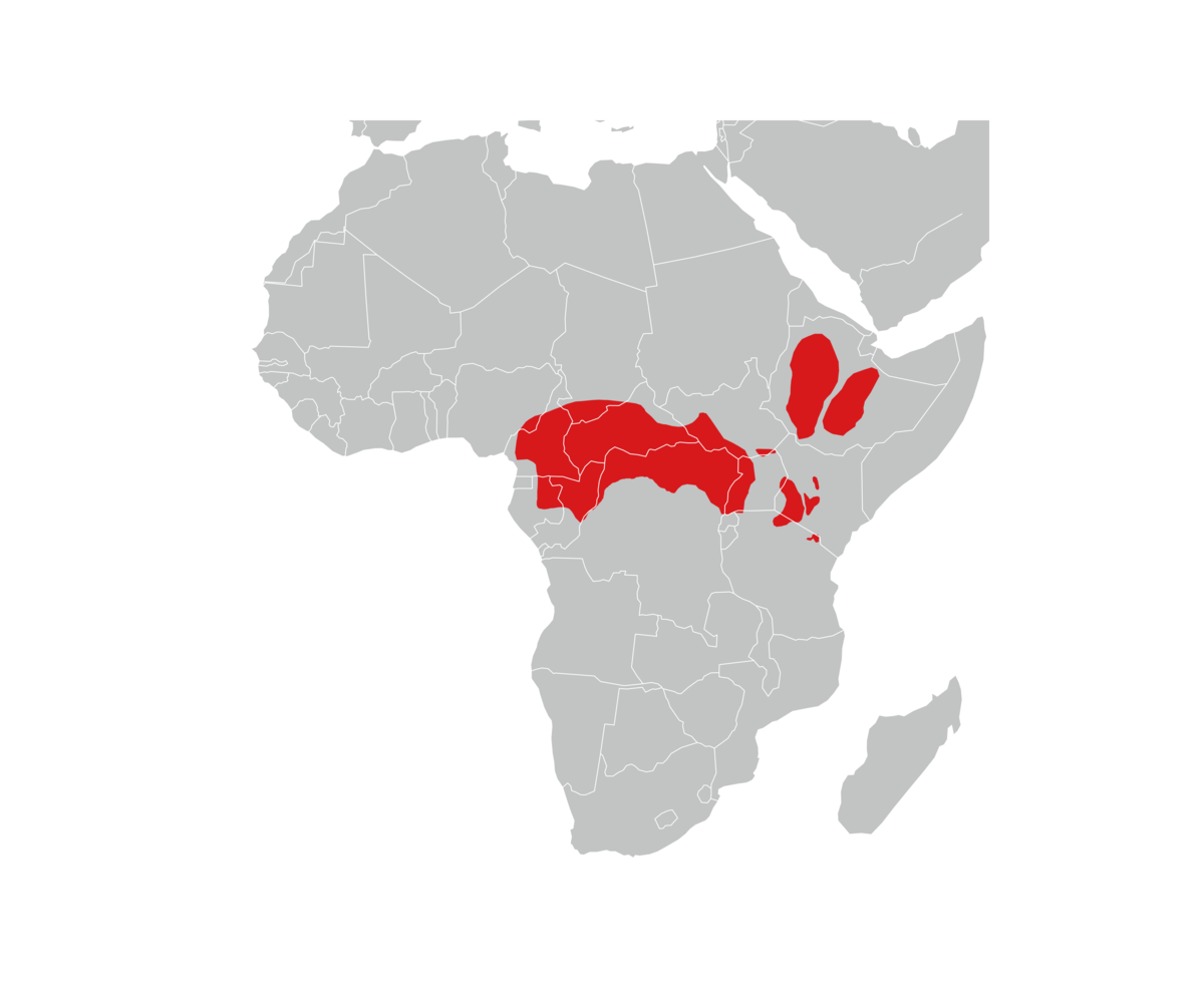utbredelse av etiopisk guereza