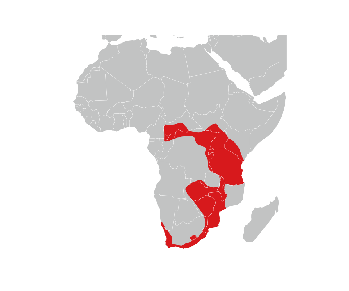 utbredelse av afrikadvergmus