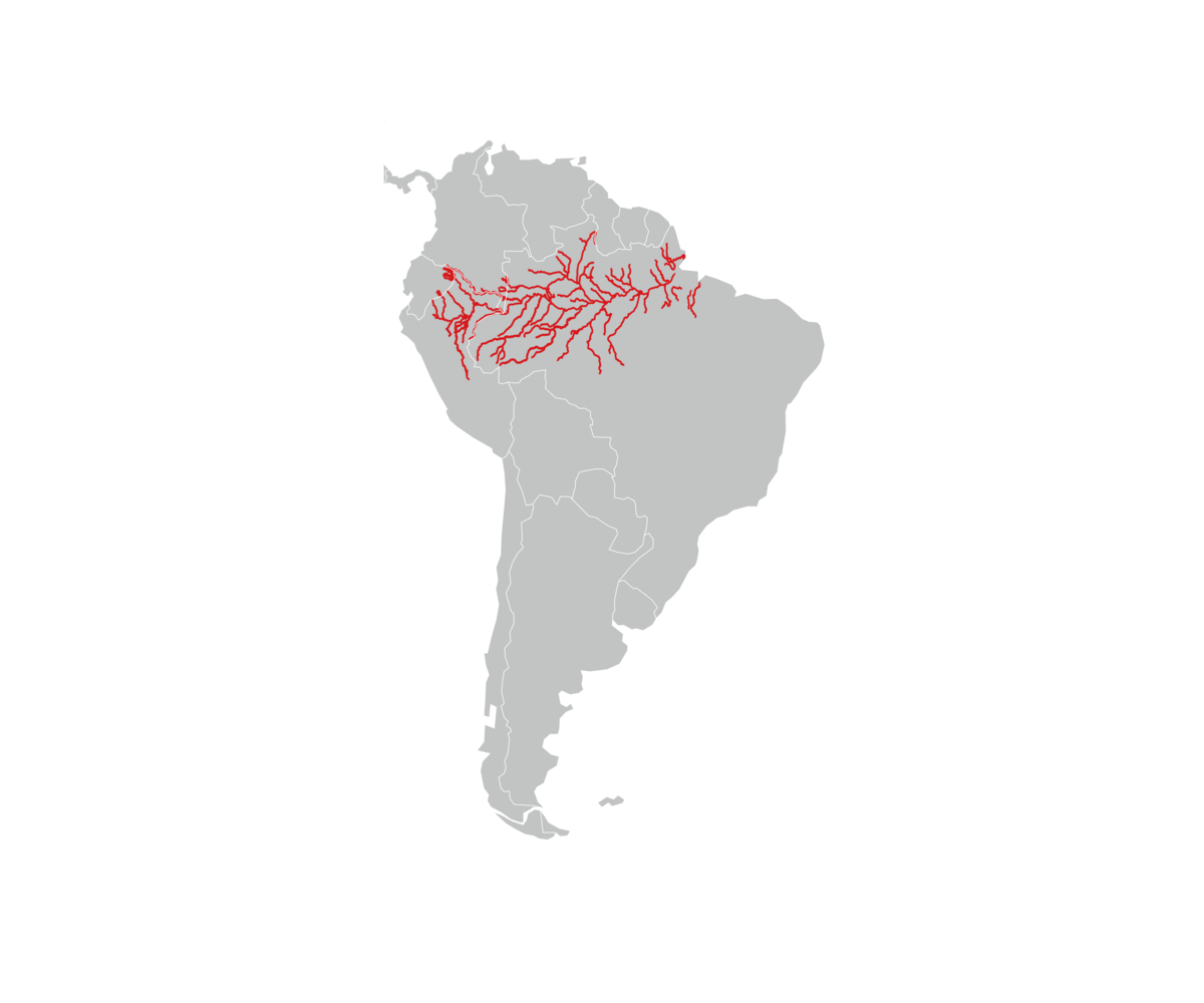 utbredelse av amazonasmanat