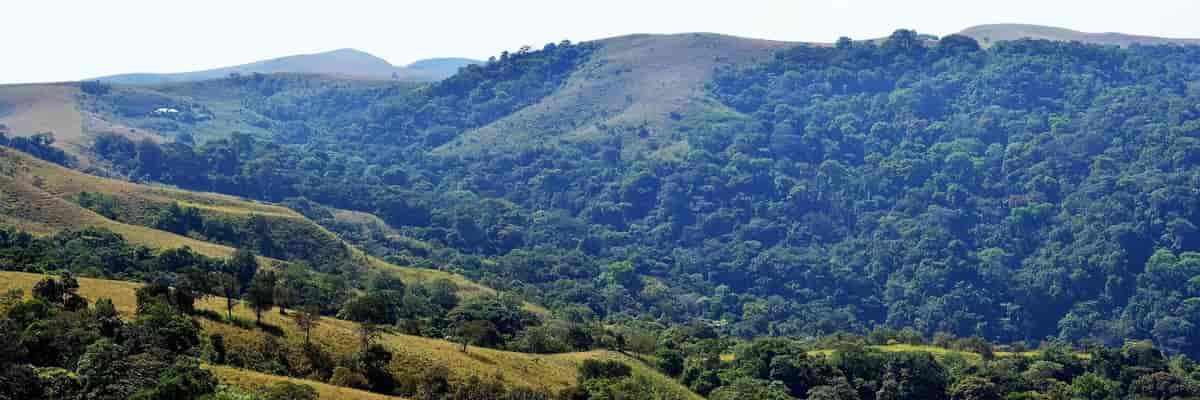 Panorama of the eastern edge of Ngel Nyaki Forest Reserve on the Mambilla Plateau, Taraba State, Nigeria