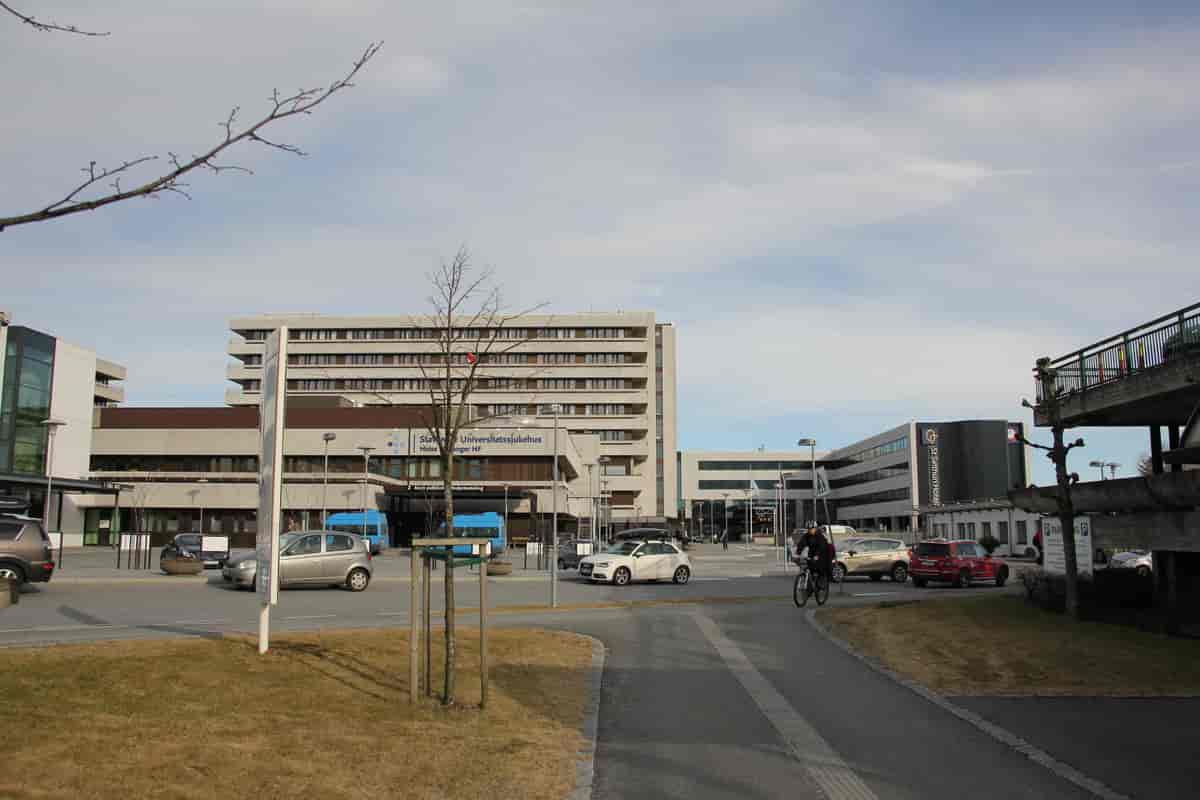 Stavanger universitetssjukehus
