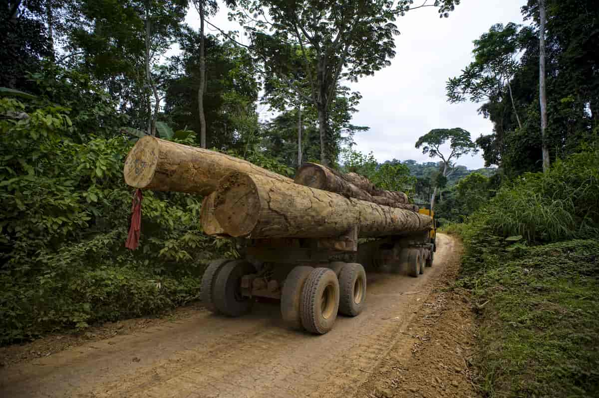 Wood Truck near the village of Ngon, District of Ebolowa, Cameroon