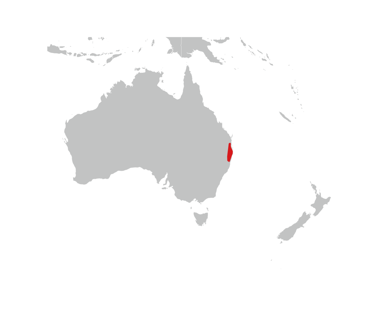 utbredelse av australpungfrosk