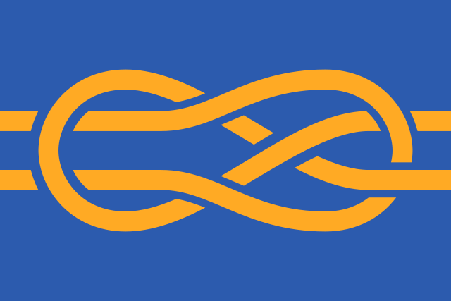 FIAVs flagg