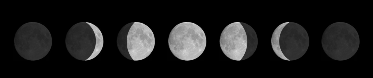 Syv bilder av Månen i forskjellige faser. Til venstre er månen helt mørk, så blir den litt mer lyst opp for hvert bilde, til den til slutt er helt mørk igjen.
