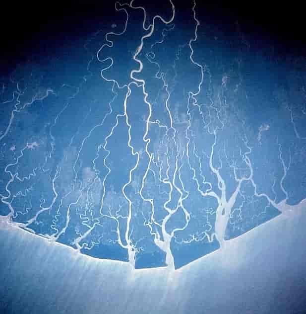 NASA Space Shuttle Overflight photo of the Niger Delta