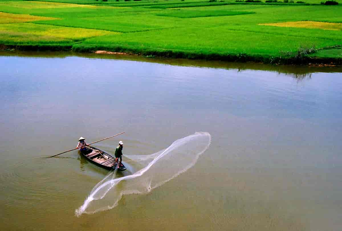 Fiske i Vietnam