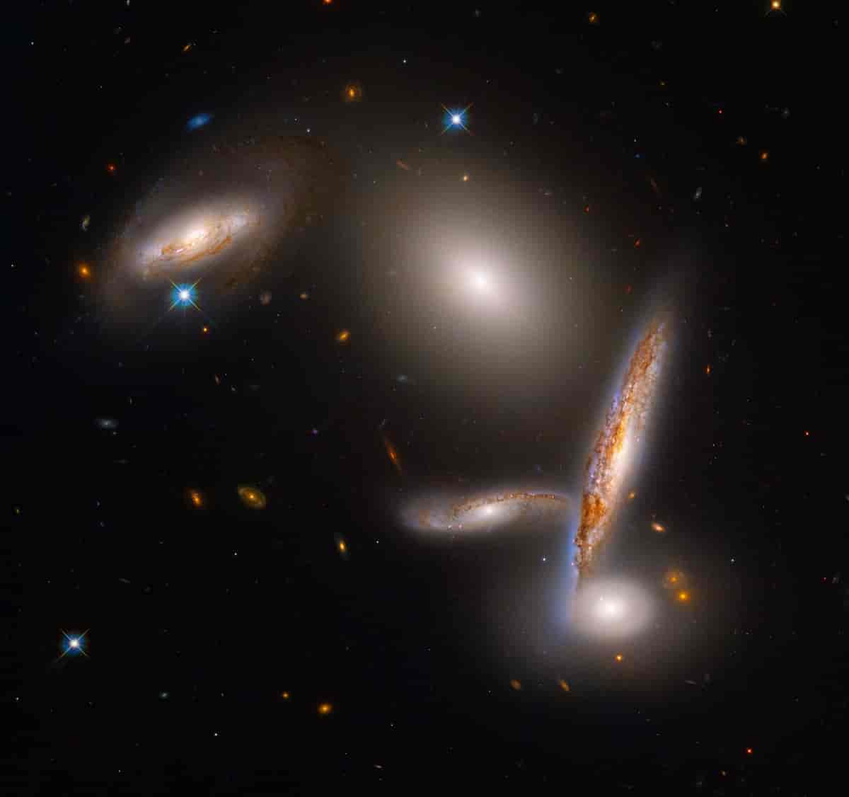 Detaljert bilde av de 5 galaksene i Hickson Compact Group 40 observert med HST. 