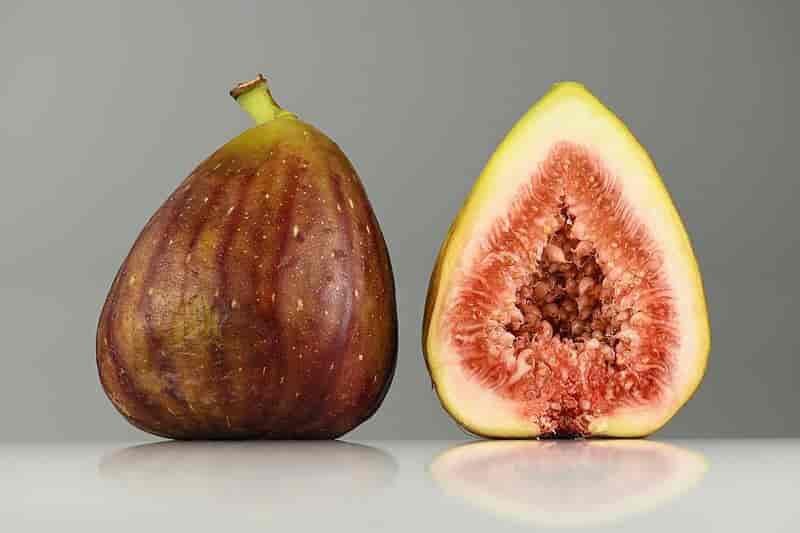 Frukt av Ficus carica
