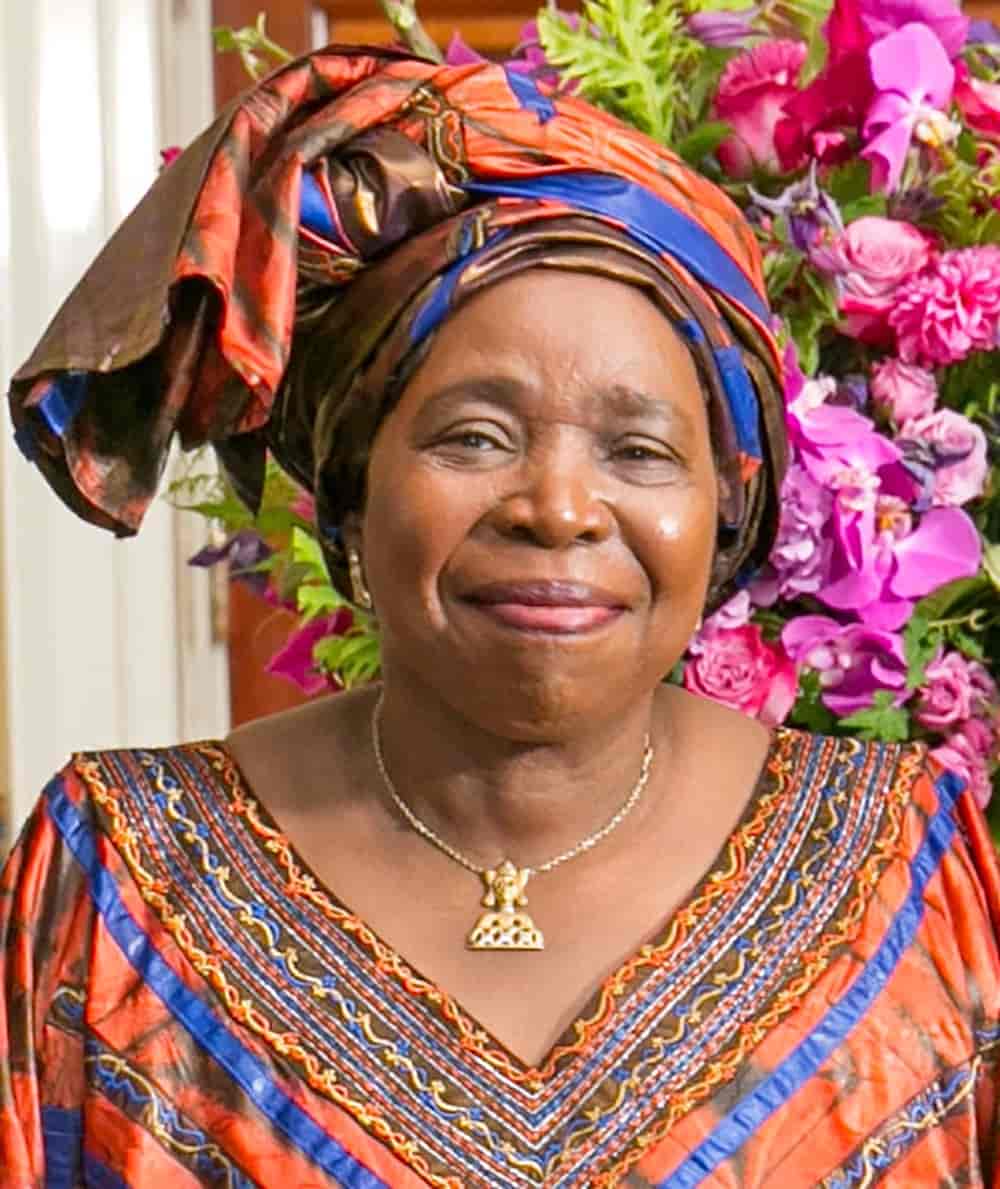 Nkosazana Clarice Dlamini Zuma, 2014