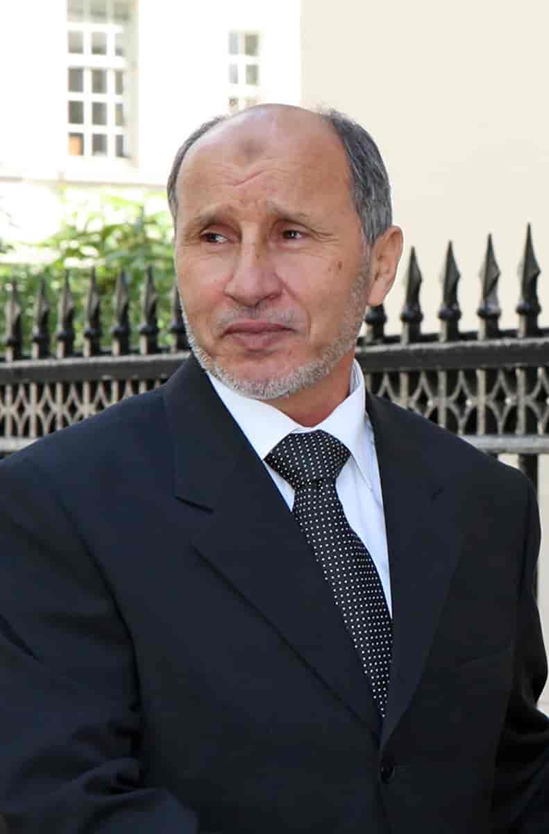 Mustafa Abdul Jalil, 2011