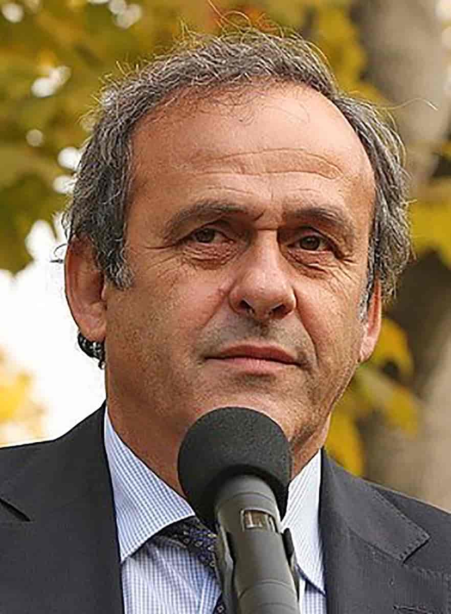 Michel Platini, 2010