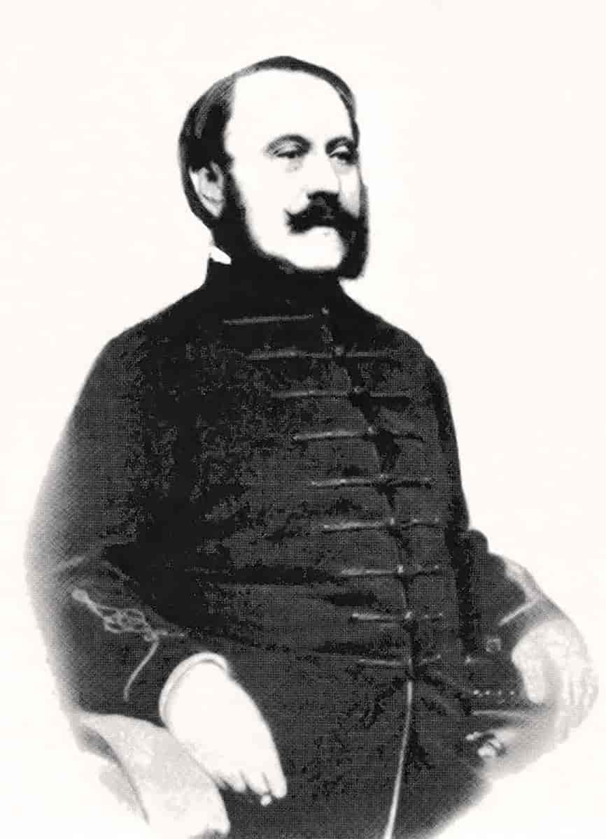 Zsigmond Kemény, 1865