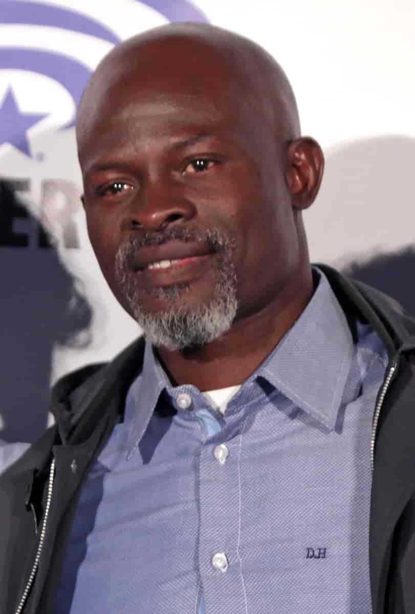 Djimon Hounsou, 2016