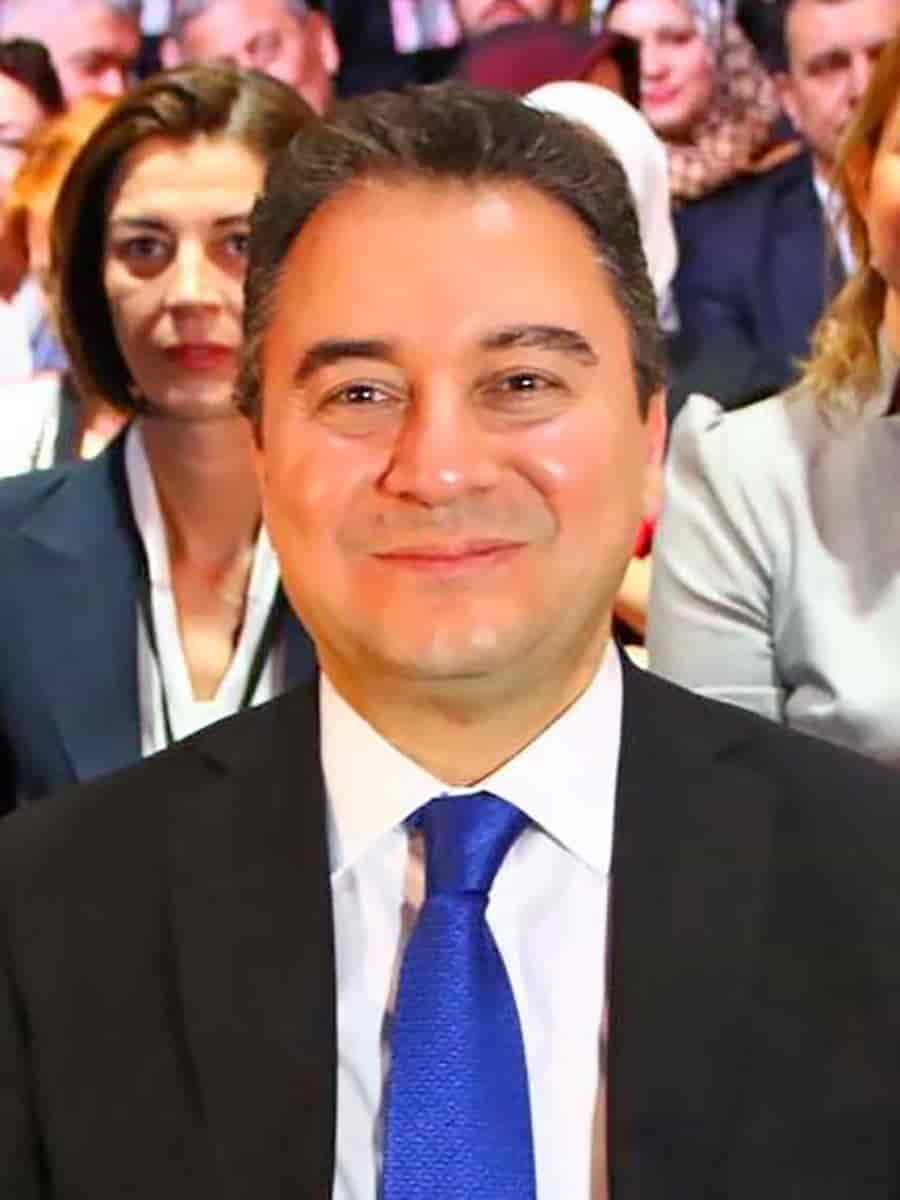 Ali Babacan, 2020