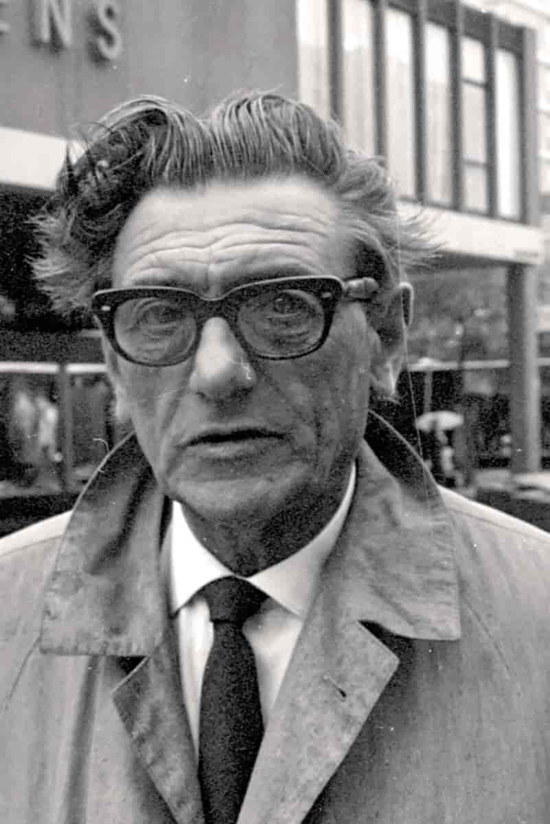 Johannes van den Broek, 1968