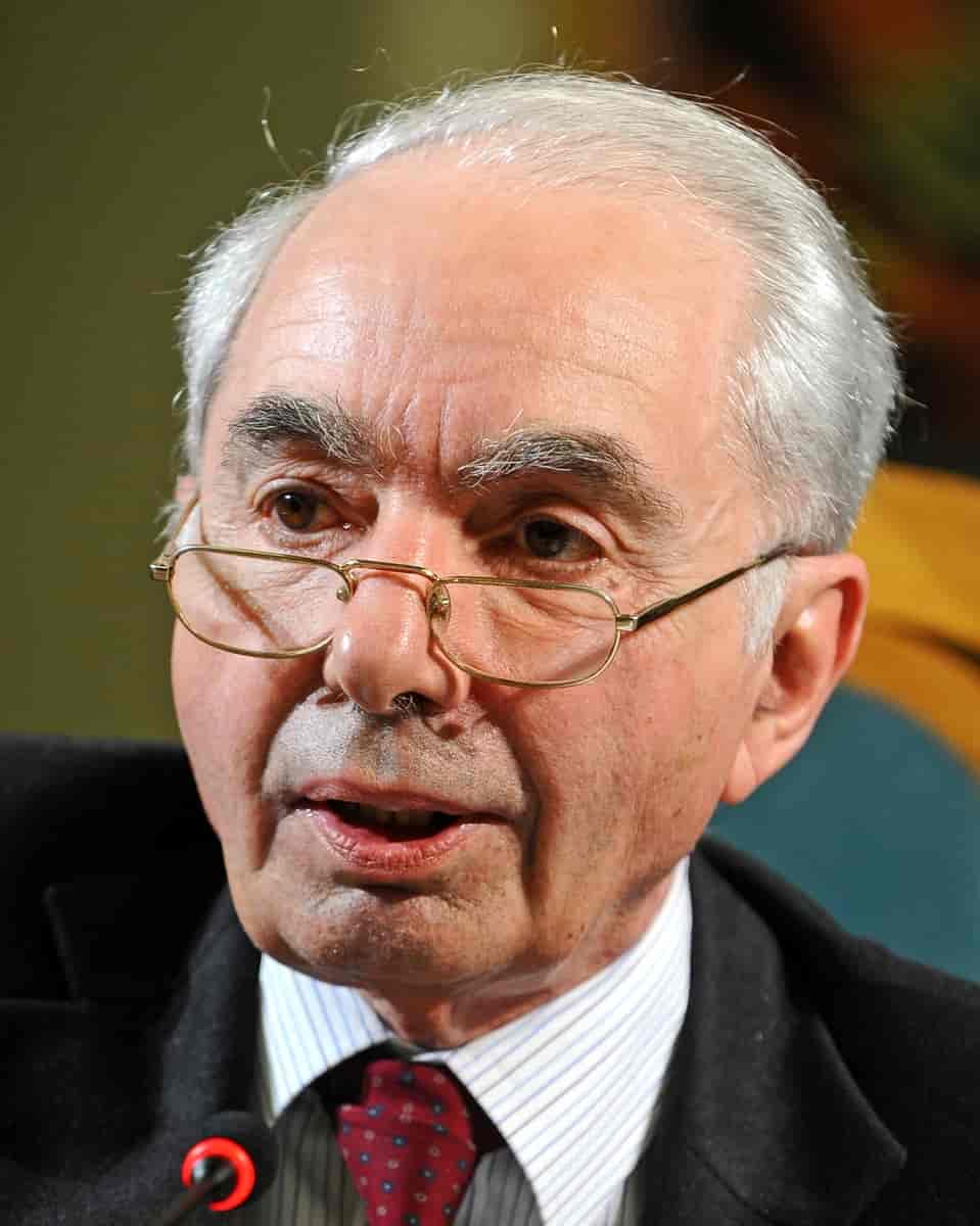 Giuliano Amato, 2013