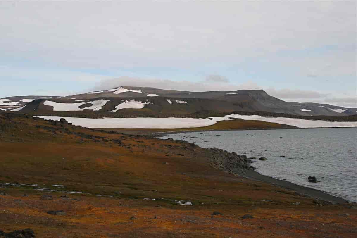 Barentsøya