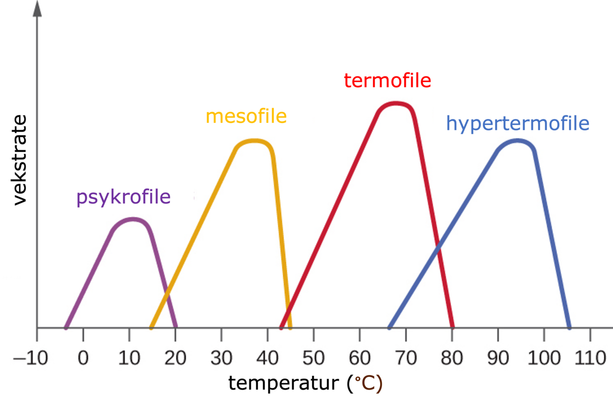 Bakteriers vekstrate ved ulike temperaturer