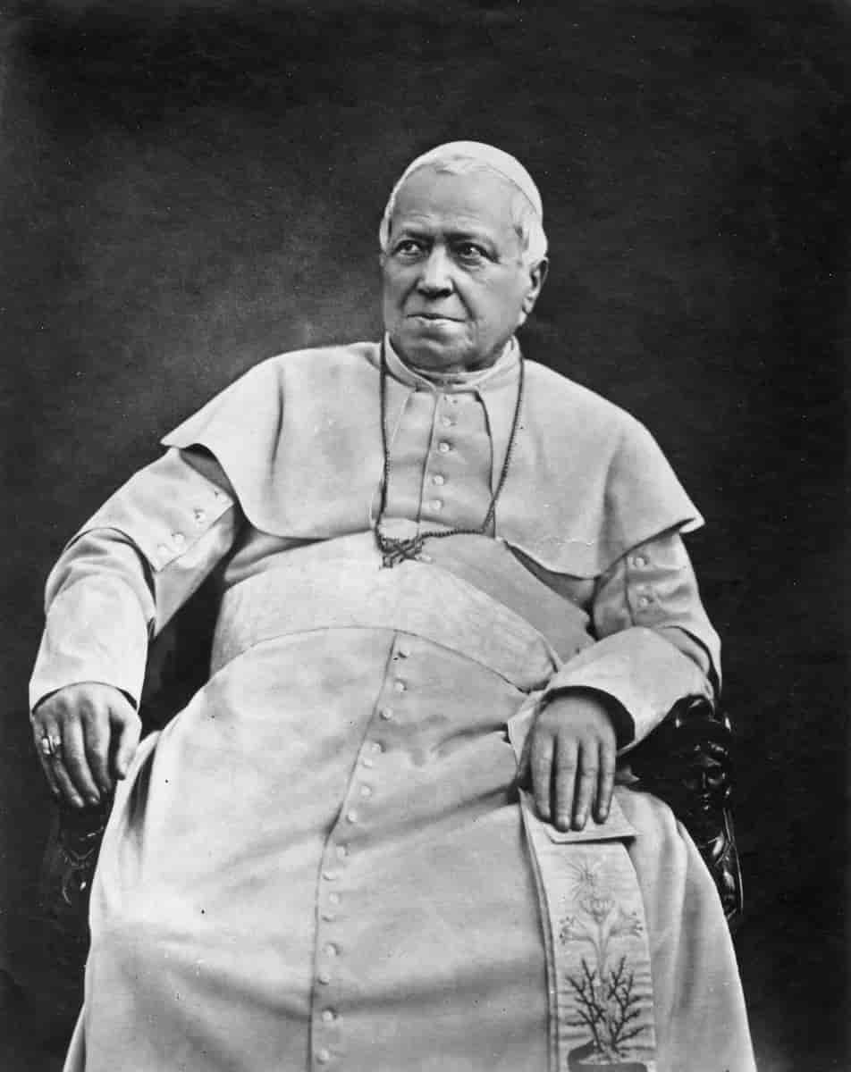 Pius 9. i 1875
