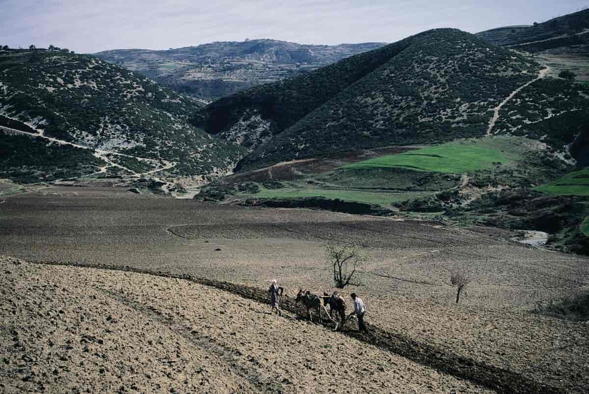 Albania, jordbruk
