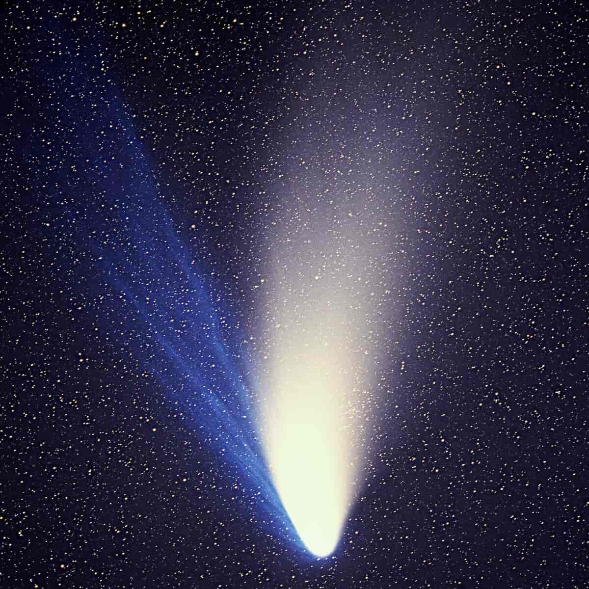 Kometen mot en himmel full av stjerner. Den har to haler, den til venstre er blå, den til høyre er hvit.
