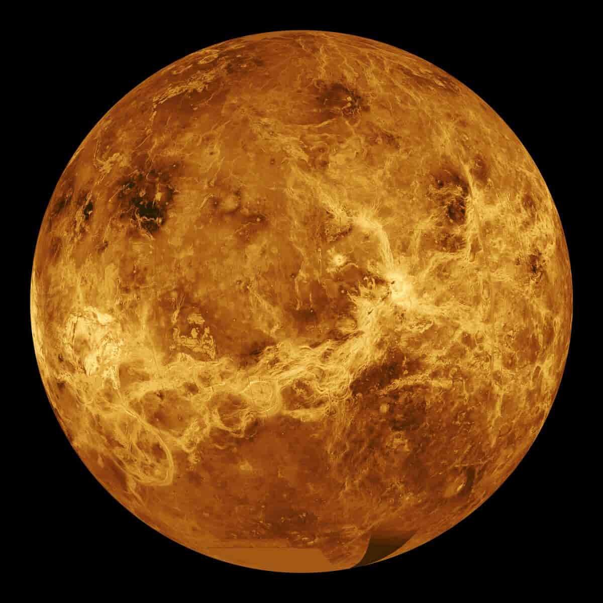 Foto av Venus