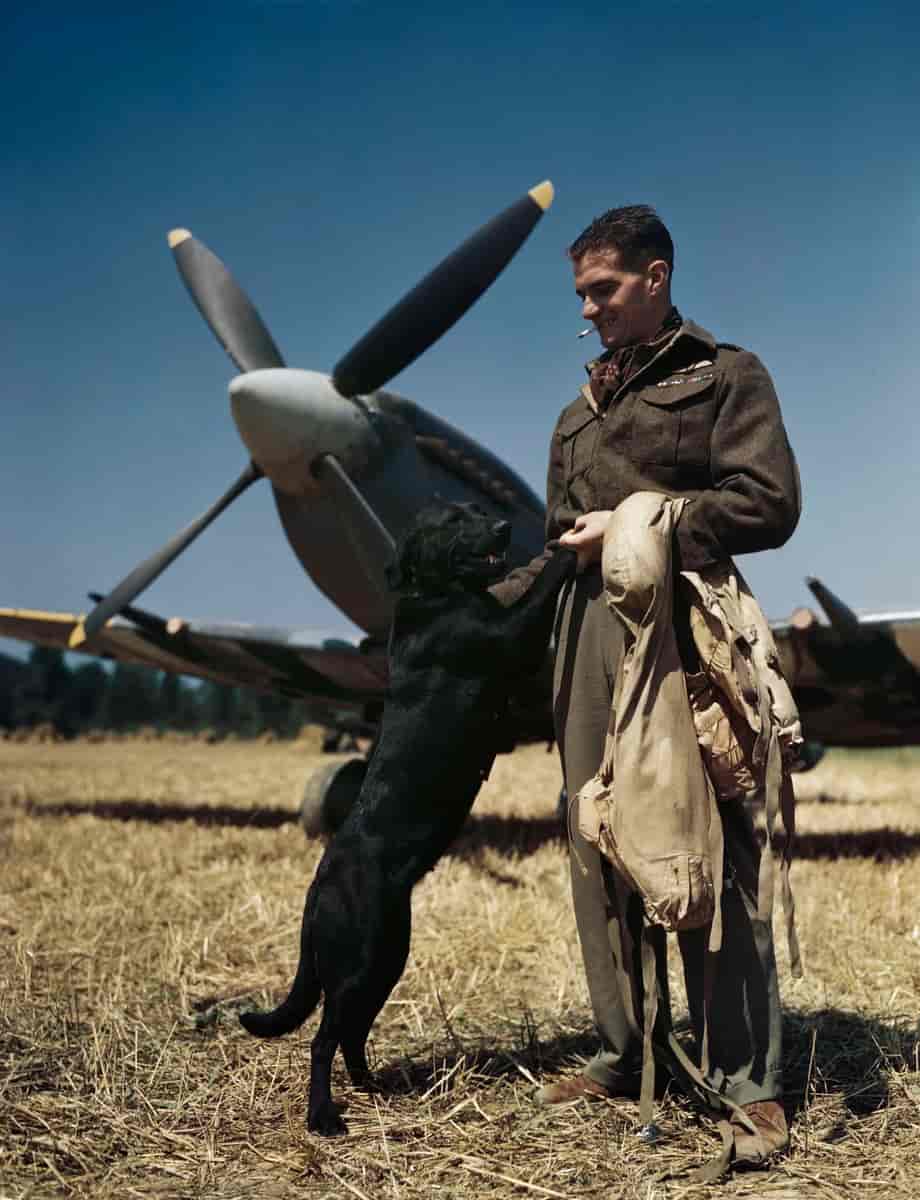 RAF-soldat under slaget om Normandie
